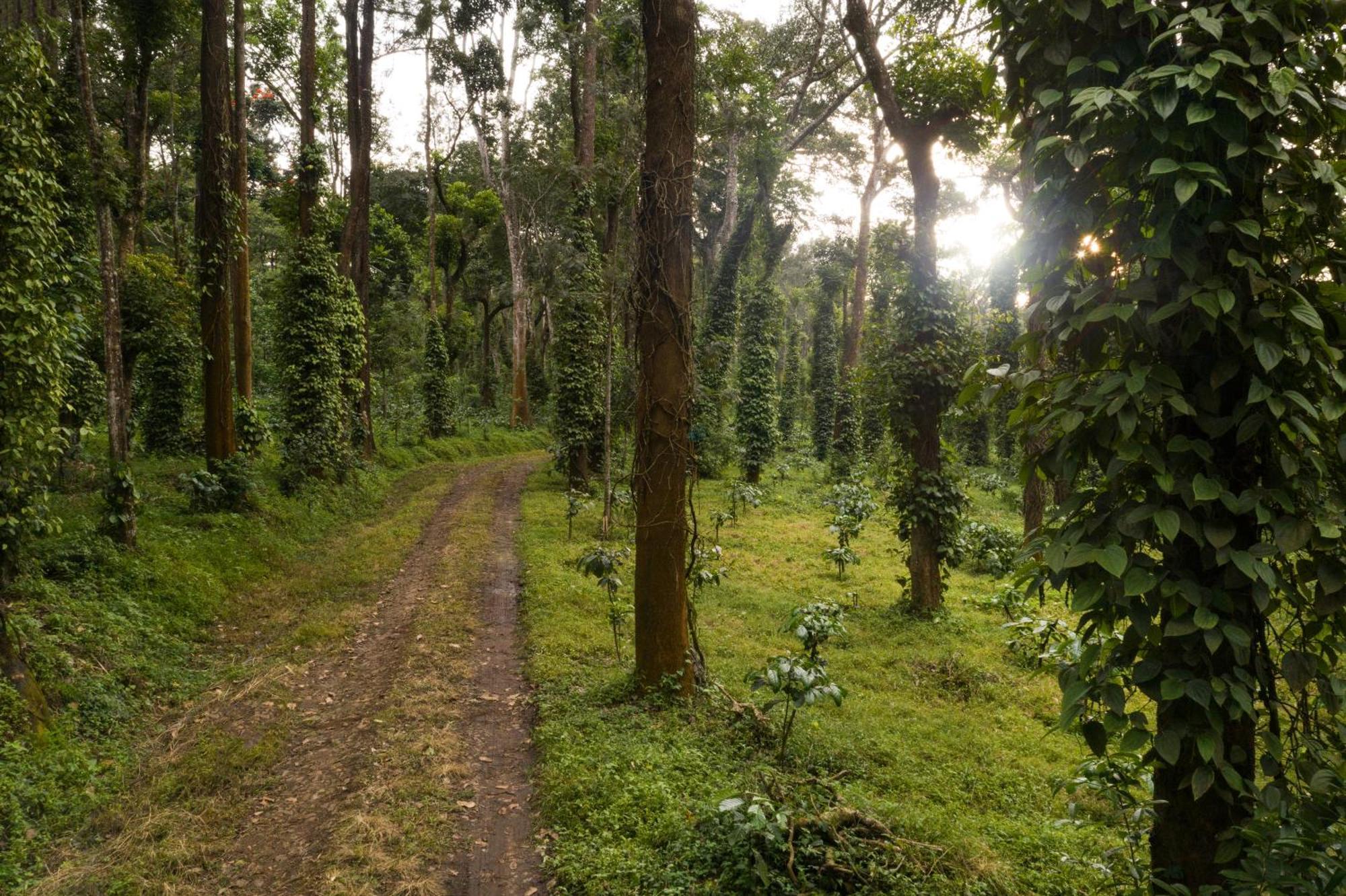 Tusker Trail By Luxunlock Hotel Suntikoppa Kültér fotó